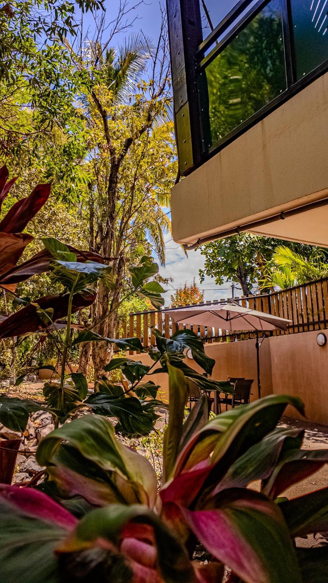 Les 3 Sables, Coco Apartamento Étang-Salé les Bains Exterior foto